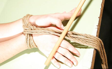 Sexy girls Angell Summers and Melyssa in hardcore group sex with anal scene 