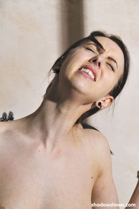 Tatoverede britiske mørkhårede Emily X får sin fisse slikket mens hun er bundet op