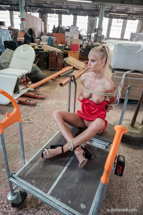 金髮捷克寶貝 Ariela Donovan 在熱辣的 BDSM 三人組中被玩弄嘴巴和陰部