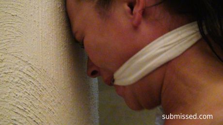 Brunette Vixen får sine store jugs blottet og hendes fisse leget