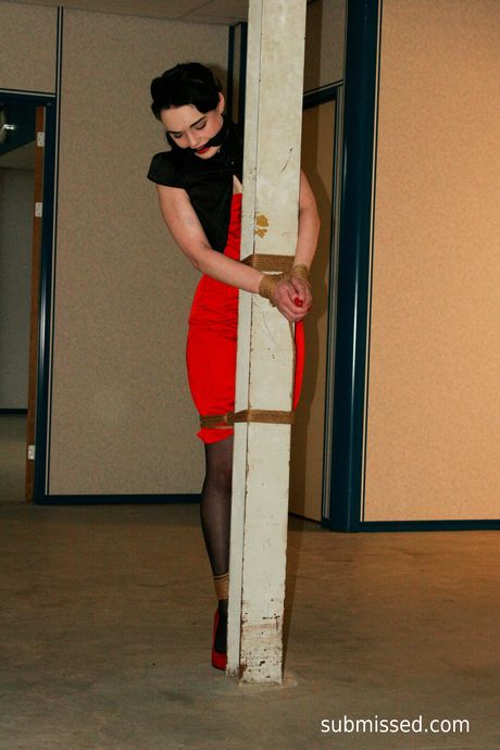 美麗的業餘愛好者莉莉被她的主導者綁起來並戲弄