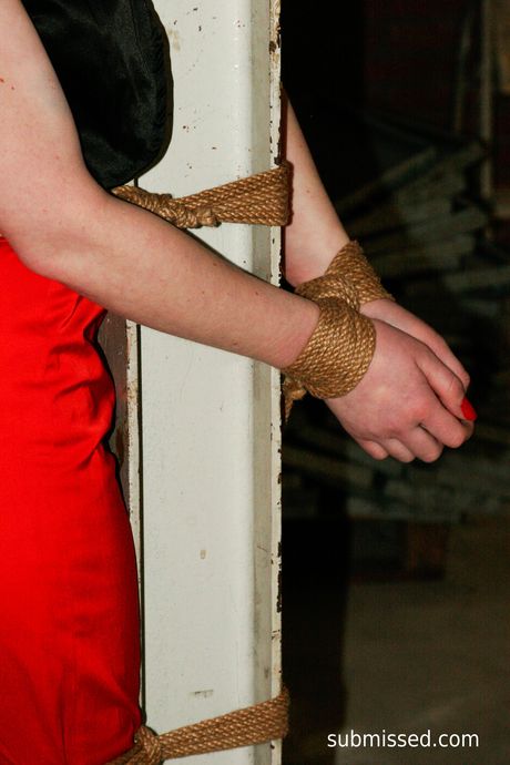 美麗的業餘愛好者莉莉被她的主導者綁起來並戲弄