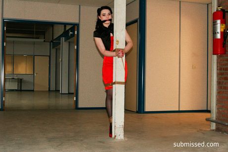 美麗的業餘愛好者莉莉被她的主導者綁起來並戲弄