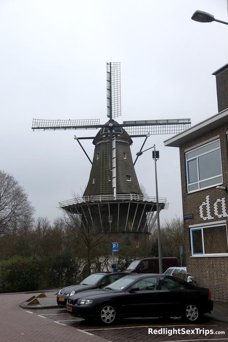 Dejlige lesbiske Milena Star og Natasha A har sex på en sofa i en indkørsel