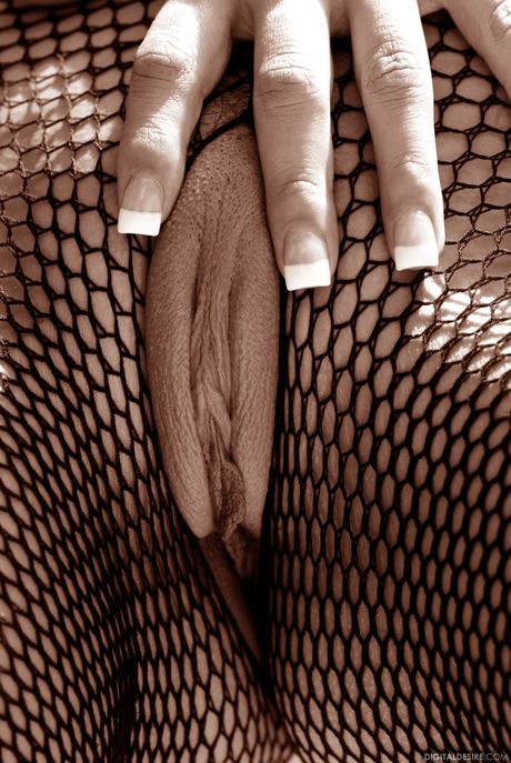 セクシーなメキシコの黒髪のアドリアナ・セージが網タイツ姿でポーズを取り、床にオマンコを広げる