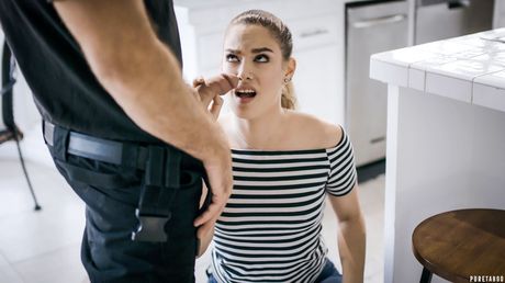 優秀的美國美女 Bobbi Dylan 得到了她男朋友的徹底幹練和中出