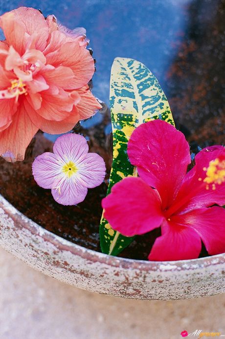 Den asiatiske dukke Akina Minami blotter sine små, små bryster og afslører sig selv nøgen på stranden