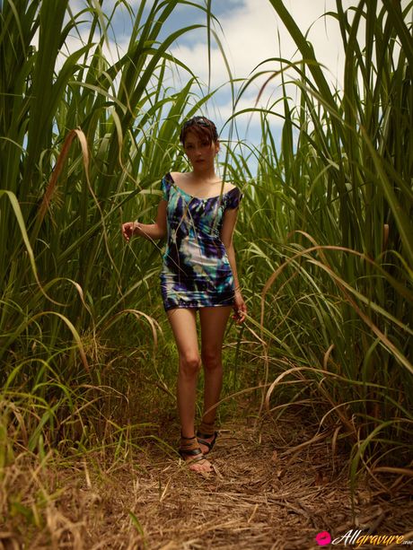 亞洲美女 Neo 在野外展示她的小胸部和光禿禿的陰部