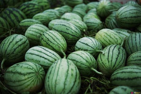 アジアの美女滝沢乃南が大きな胸を披露し、ソロでポーズをとる