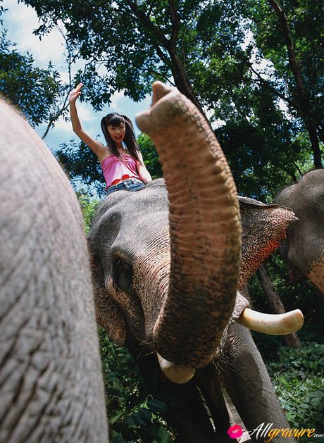 Brunette Yuko Ogura is posing outdoors in her sexy bikini