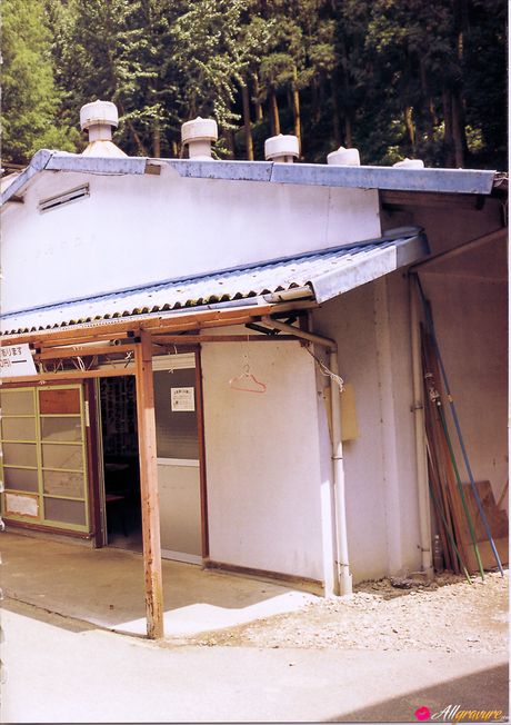 Asiatisk pige Kaori Manabe bliver nøgen på et tæppe i en mark