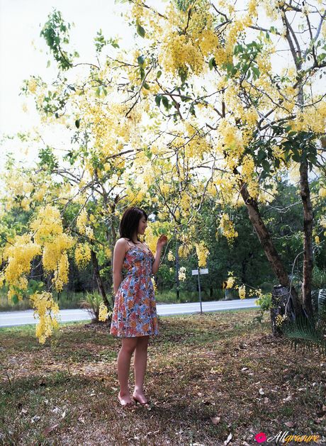 亞洲少女 Momoko Tani 在花田裡的毯子上赤身裸體