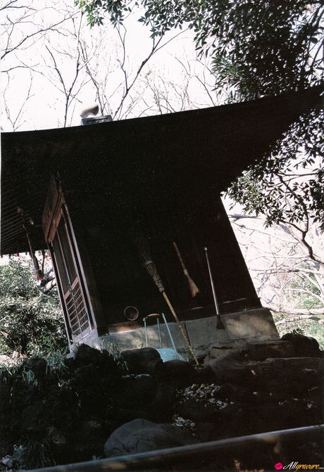 Brown-eyed Japanese beauty Eri Kamei is a sweetie to look at