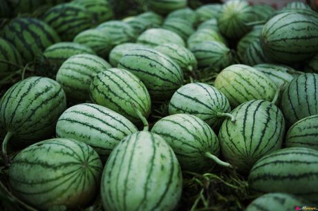 アジアの女の子滝沢乃南がソロで彼女の素晴らしい胸とポーズを披露