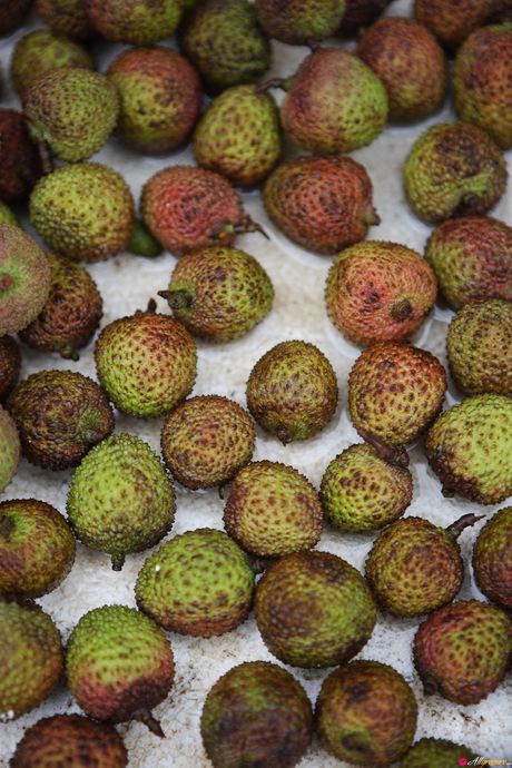 アジアの女の子滝沢乃南がソロで彼女の素晴らしい胸とポーズを披露