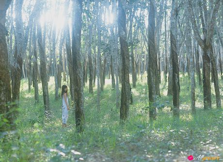 茶色の目をした日本の美人、小倉優子が庭で服を脱いでポーズをとる