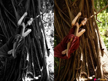 亞洲美女 Sayaka Yamaguchi 在樹林中展示她美麗的乳房和姿勢