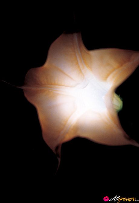 亞洲寶貝 Hitomi Aizawa 展示她的大乳房並獨自擺姿勢