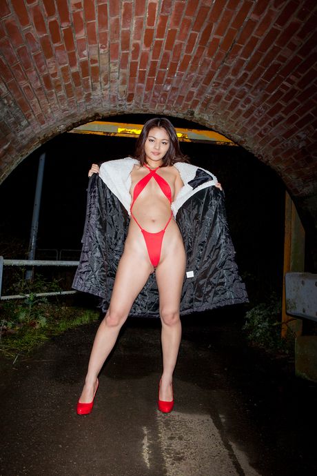 Asian babe Tsubasa Akimoto removes her bikini before masturbating