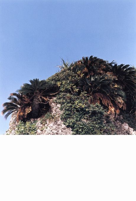 アジアンドールの白石美帆が毛布の上でセクシーに裸になる