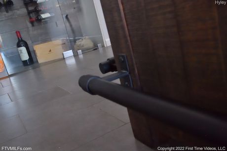 Blond amerikansk pige Hyley Winters nyder sin fisse med et sexlegetøj