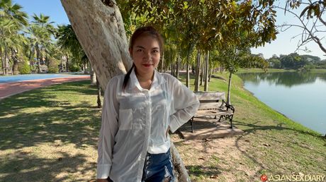 Dejlig asiatisk pige Som bliver kneppet efter en gåtur i parken