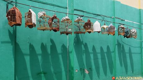 Asian MILF Delima gets her twat stuffed with a dildo in the shower