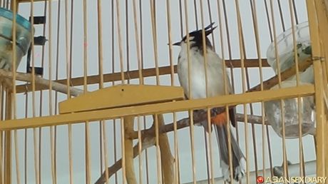 Asian MILF Delima gets her twat stuffed with a dildo in the shower