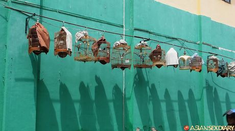 Asian MILF Delima gets her twat stuffed with a dildo in the shower