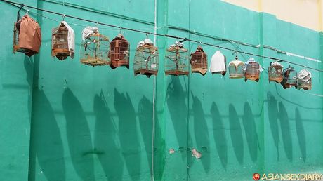 Asian MILF Delima gets her twat stuffed with a dildo in the shower