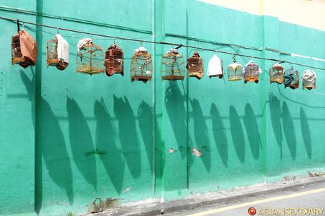 Asian MILF Delima gets her twat stuffed with a dildo in the shower