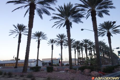 素敵な日本のベイビーアマチュアは、角質の男に彼女の猫を掘られます