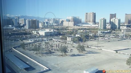 亞洲業餘少女被性慾旺盛的男人幹了陰戶和屁股