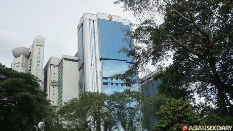 亞洲業餘模特兒在被幹之前先舔陰戶