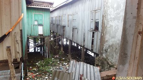 亞洲青少年業餘脫光衣服後與雞隻發生性關係