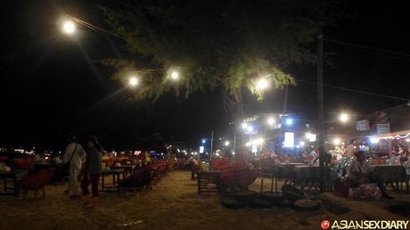 亞洲青少年業餘脫光衣服後與雞隻發生性關係