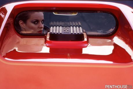 ブルネットのセンターフォールド、ダニエル・ジニブレがセクシーなお尻と天然のおっぱいを披露