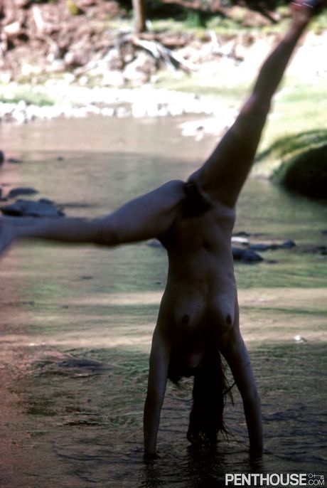 Brunette centerfold Derna Wylde exposes her hairy pussy & natural boobs