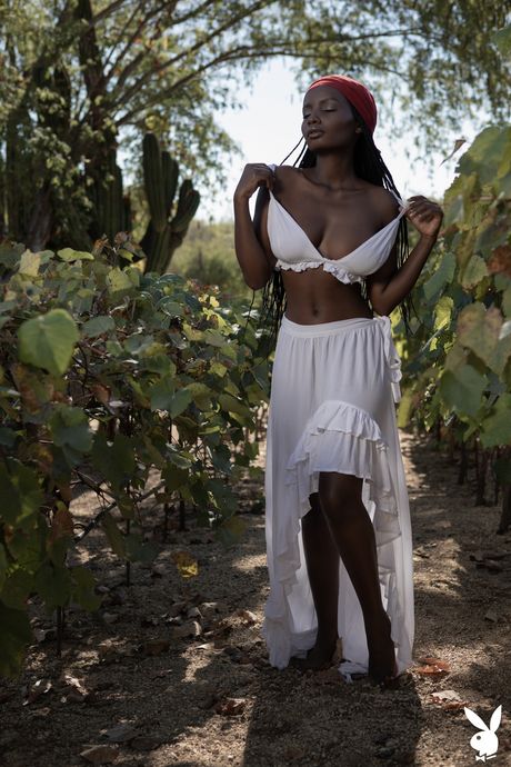 プレイボーイ・プラス誌のベスト写真：キラー、ソフィー、アシュリー・ナッシュ、シャスタ・ワンダー、エミリー・アン・ミラーら