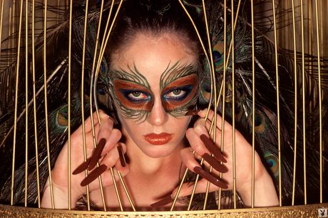 Playboy Plus 與 Christine Maddox、Susan Lynn Kiger、Patricia Margot McClain、Karen Hafter、Lillian Müller、Claudia Jennings 等人的最佳照片