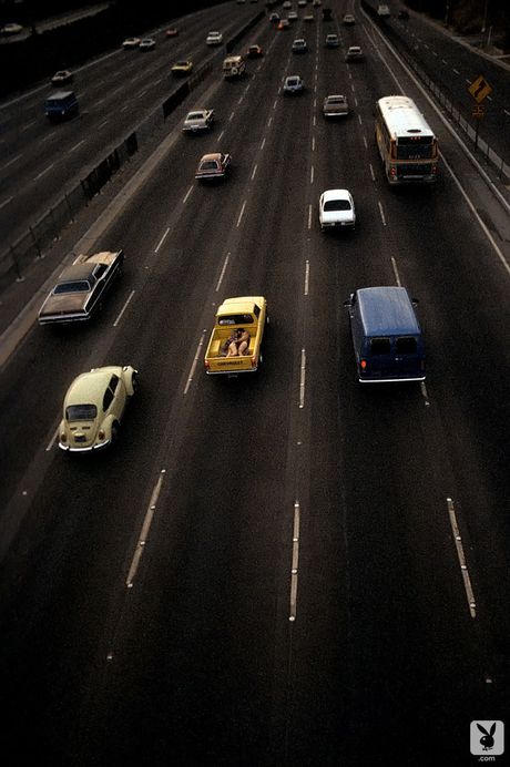 プレイボーイ・プラスのベスト写真：パティ・マグワイア、パトリシア・マーゴット・マクレイン、スーザン・リン・キガー、リサ・ソーム、デブラ・ジェンセン他