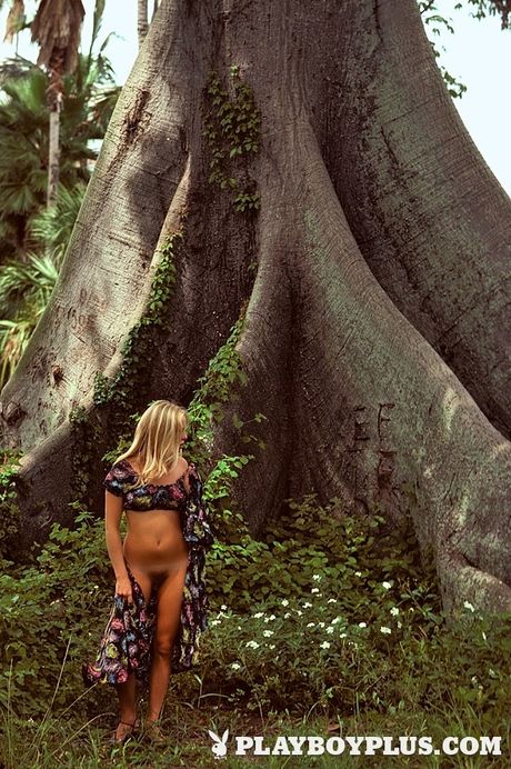 P: プレイボーイ・プラスのベスト写真：ブルック・ベリー、アシュリー・チャールトン、ディアナ・ブルックス、ジェニー・ハース、エイミー・マッカーシー、ファウナ・マクラーレン他