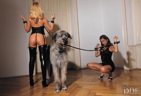ラテックスを着たレズビアンのルイサ・デ・マルコとレナータがお互いの猫をおもちゃにする