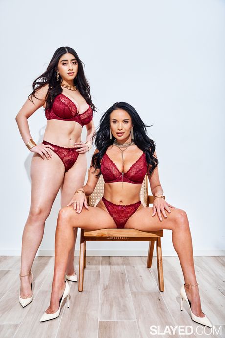 素敵なレズビアンのアニッサ・ケイトとバイオレット・マイヤーズがベッドでセックスをする