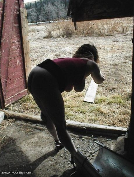 熟女ミシャ・ミルフは、屋外でヌードをポーズする前に、彼女の素晴らしいラックとお尻を明らかにします