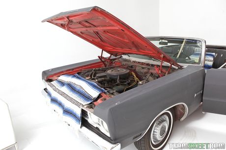 Den amerikanske mørkhårede Christy Mack får sin fisse slikket og dicked