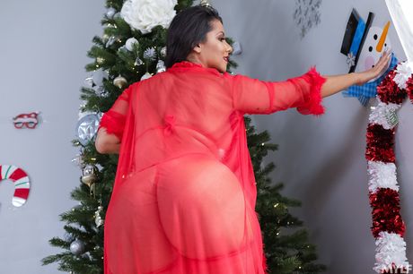 Store bryster pornostjerne Rose Monroe er en stor fan af store pikke