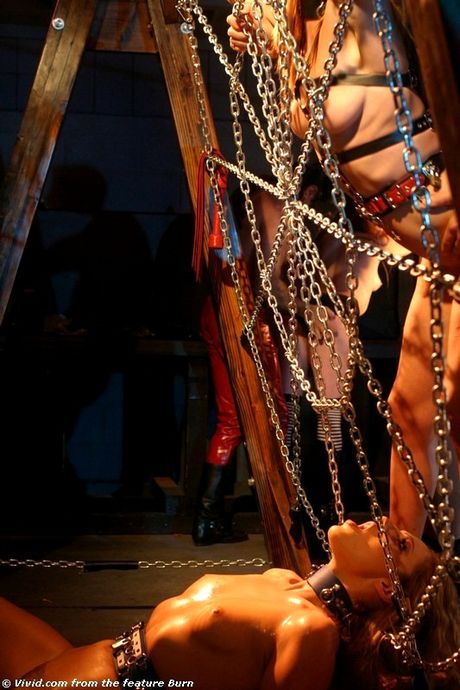 精彩的美國黑髮美女 Cytherea 在捆綁過程中被操逼和屁股