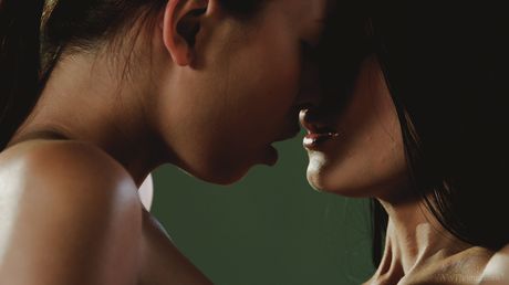 Sexet stuepige Lexi Dona og hendes elskerinde Paula Shy har lesbisk sex i køkkenet