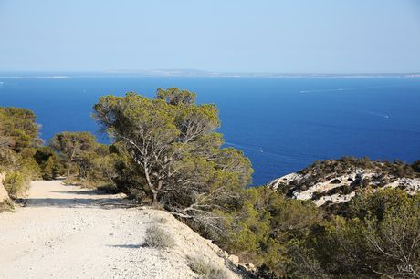 魅力女孩瑪麗亞穿著性感內衣在戶外擺姿勢並自慰